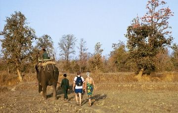 Memorable Corbett Tour Package for 3 Days 2 Nights