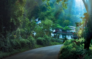 8 Days 7 Nights Cochin to Kovalam Tour Package