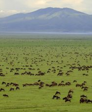Experience 5 Days 4 Nights Nairobi, Samburu with Masai Mara Wildlife Holiday Package Experience 5 Days 4 Nights Nairobi, Samburu with Masai Mara Wildlife Holiday Package