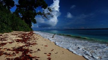 Magical 4 Days 3 Nights Havelock Island Family Vacation Vacation Package