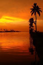 Pleasurable 7 Days Kochi to Alleppey Holiday Package