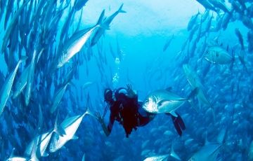 Experience 3 Days 2 Nights Agatti Friends Vacation Package