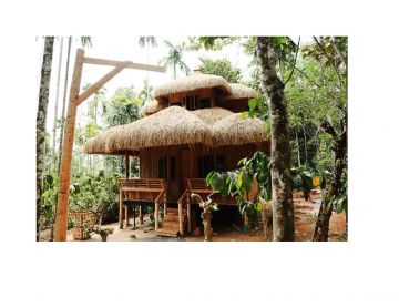 Magical 3 Days 2 Nights Wayanad Kerala India Water Activities Vacation Package