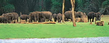 Best 5 Days Kochi to Thekkady Water Activities Tour Package