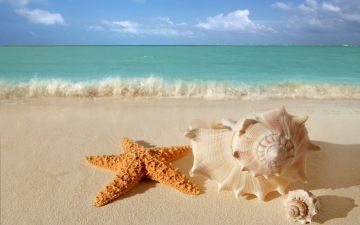 8 Days 7 Nights Port Blair- Carbyns Cove Beach Romantic Tour Package
