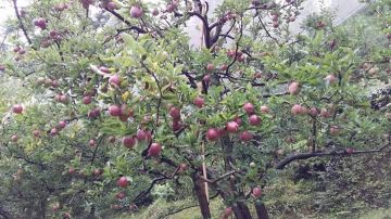 6 Days 5 Nights Manali Hill Trip Package