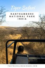 Amazing 3 Days Jaipur to Ranthambhore Fort Historical Places Tour Package