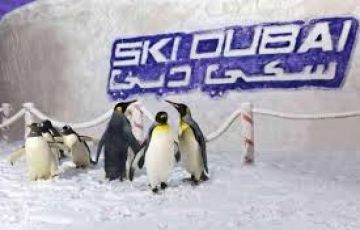 Pleasurable Dubai Friends Tour Package for 7 Days 6 Nights