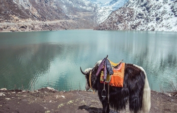 Pleasurable Gangtok Hill Stations Tour Package for 3 Days 2 Nights from Delhi