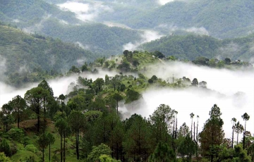 Pleasurable Uttarakhand Hill Stations Tour Package for 8 Days from Mumbai