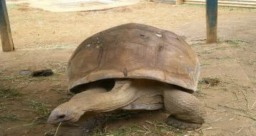 Beautiful 7 Days Mauritius Family Tour Package