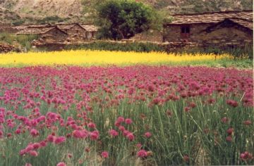 Beautiful 10 Days Kathgodam to Rilkote Trip Package