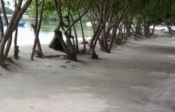 Amazing 5 Days 4 Nights Maldives Family Tour Package