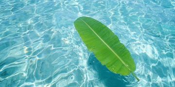 Magical 4 Days 3 Nights Port Blair and Havelock Hill Stations Vacation Package