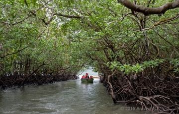 Magical 6 Days 5 Nights Andaman, Havlock, CellularJail and RadhanagarBeach Vacation Package