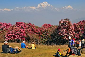 Magical 9 Days Pokhara and Poonhill Wildlife Tour Package