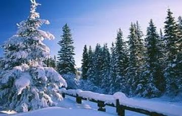 Best 8 Nights - 9 Days Chandigarh - Dalhousie - Shimla - Manali - Dharamshala Vacation Package