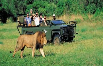 Amazing 5 Days 4 Nights Jim Corbett National Park Wildlife Vacation Package