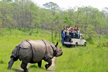 Heart-warming 8 Days Kathmandu Nature Trip Package
