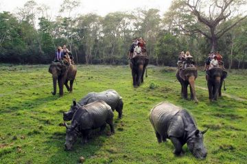 Family Getaway 6 Days Kathmandu to Chitwan National Park Honeymoon Tour Package