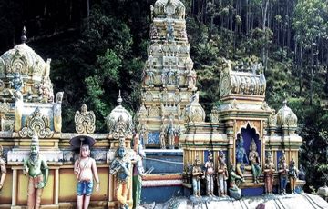 Experience 7 Days 6 Nights Negombo Tour Package