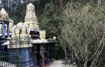 Experience 7 Days 6 Nights Negombo Tour Package