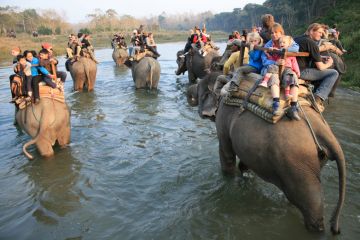 Heart-warming 8 Days Chitwan National Park Honeymoon Vacation Package