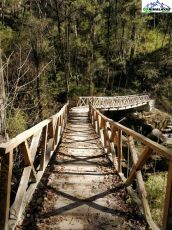 Amazing 3 Days Kasol to Kasol-Chalaal Friends Holiday Package