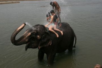 Heart-warming 8 Days Kathmandu Nature Trip Package