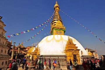 Magical 9 Days Pokhara and Poonhill Wildlife Tour Package