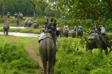 Heart-warming 8 Days Chitwan National Park Honeymoon Vacation Package