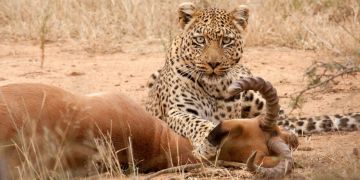 Amazing Boma Road Moshi Kilimanjaro Waterfall Tour Package for 6 Days Amazing Boma Road Moshi Kilimanjaro Waterfall Tour Package for 6 Days