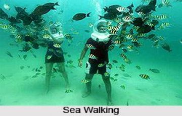 Memorable 5 Days Port Blair to Havelock Water Activities Tour Package
