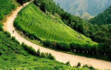 Ecstatic 7 Days 6 Nights Munnar, Thekkady, Kumarakom and Kovalam Tour Package