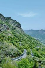 Pleasurable 3 Days Munnar Culture Heritage Trip Package