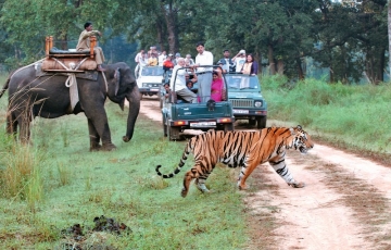Memorable 6 Days Jim Corbett Nainital Wildlife Tour Package