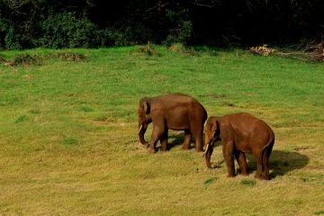 3 Days 2 Nights Kochi to Cochin Water Sport Vacation Package