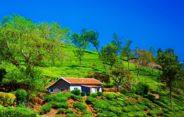 Best 2 Days Ooty to Coimbatore Holiday Package