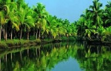 Beautiful 11 Days 10 Nights Alleppey Vacation Package
