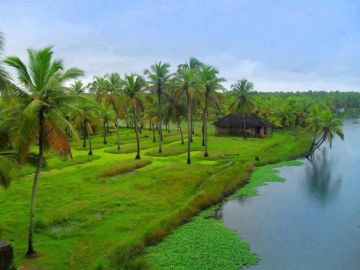 Family Getaway 7 Days Kochi to Cochin Trip Package