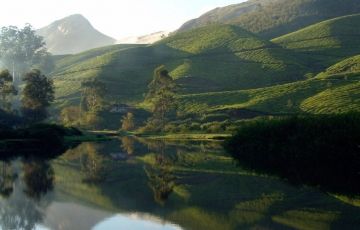 Beautiful 8 Days 7 Nights Munnar, Cochin, Thekkady and Alleppey Tour Package