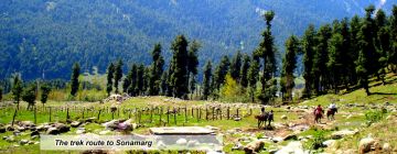 Best 5 Days Gulmarg Adventure Trip Package