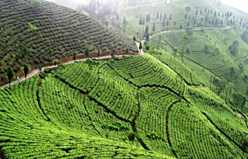 Best SIKKIM- DARJEELING Weekend Getaways Tour Package for 7 Days 6 Nights from Bagdogara Gangtok