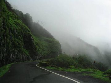 5 Days 4 Nights Kochi to Munnar Holiday Package by The Trip India
