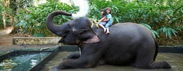 7 Days 6 Nights Kochi to MUNNAR Family Holiday Package