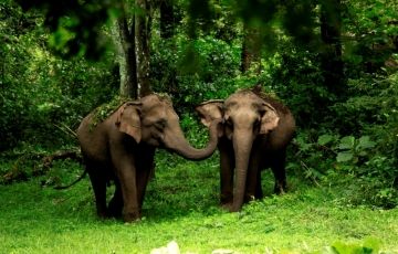 Amazing 4 Days 3 Nights Ernakulam, Munnar with Alleppey Vacation Package