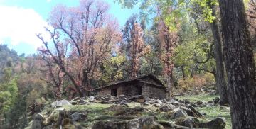 Best 7 Days 6 Nights Bageshwar Tour Package