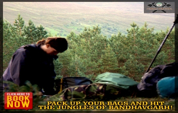 Memorable 7 Days 6 Nights Bandhavgarh Colony with Tala Holiday Package