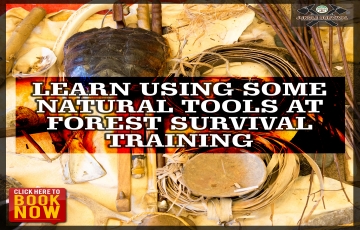 Memorable 7 Days 6 Nights Bandhavgarh Colony with Tala Holiday Package