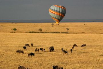 11 Days Experience kenya Road Safari